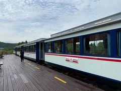 -莫尔道嘎国家森林公园