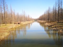 -黄海国家森林公园