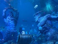 -哈尔滨波塞冬海底世界
