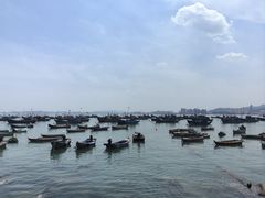 -海源公园