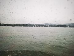 -西湖游船
