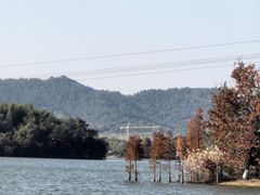 -天目湖山水园