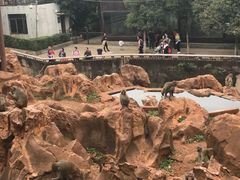 景点-昆明动物园