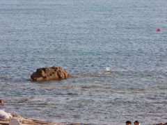 -青岛第三海水浴场