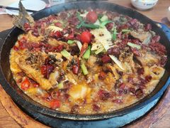 -老板恋上鱼(恒隆广场店)