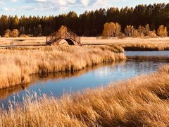 -塞罕坝国家级自然保护区