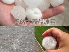 -南京医科大学(江宁校区)