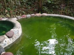 -花水湾第一村温泉大酒店