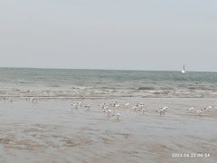 -老虎石海上公园