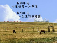 -希拉穆仁草原
