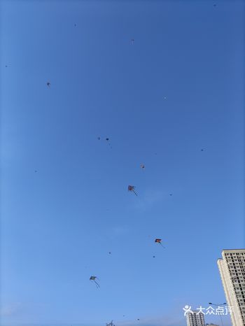 地点在重庆城市管理职业学校后门旁边那个坝坝那边