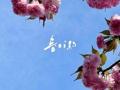 -花开海上生态园