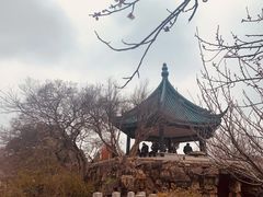 -无锡梅园公园