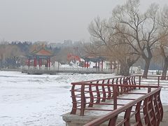 -长春市南湖公园