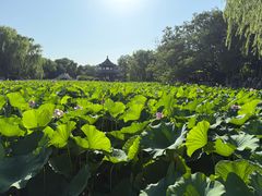 -莲池书院博物馆