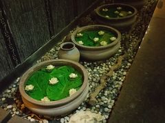 -素可汤泉(天宝大厦店)