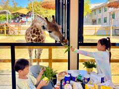 -西霞口神雕山野生动物世界