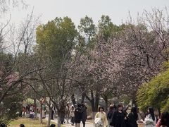 -堤角公园