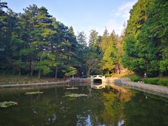 -庐山风景区花径公园