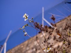 -小南山公园