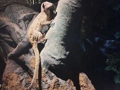 -昆明动物博物馆