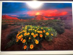 -罗红摄影艺术馆