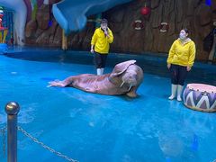 -烟台海昌鲸鲨海洋公园