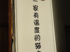 -猫十亿·布偶金渐层·曼基康矮脚猫舍(青年路店)
