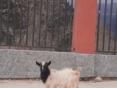 -TREK崔克自行车(徐汇滨江店)