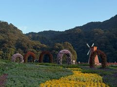 -广州市石门国家森林公园
