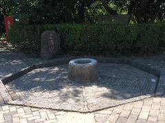 -上海佘山国家森林公园天马山园