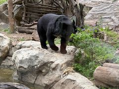 -天秀花园古月园