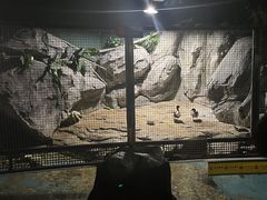 -苏州海洋馆
