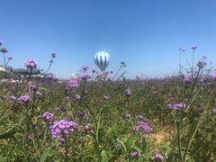 -渔岛海洋度假区