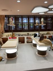 -奈尔宝·国风主题儿童乐园·亲子餐厅(豫园商城店)