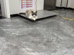 -东莞宠友24H宠物中心医院·转诊夜诊·异宠(新河北路院)