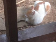 -龙达温泉生态城
