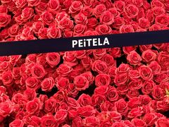 -广州白马服装市场