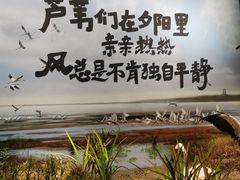 -中国湿地博物馆