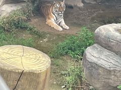 -泉城欧乐堡梦幻世界