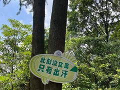 -广州市帽峰山景区