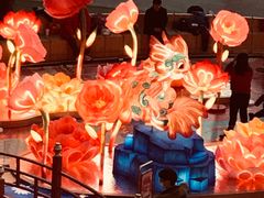 -中8楼风尚云南菜(颐堤港店)