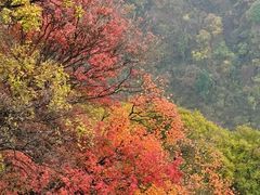 -少华山国家森林公园