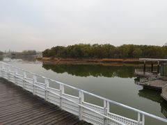 -大兴滨河森林公园