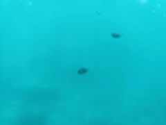 -亚龙湾海底世界