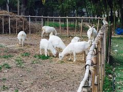 鸿华度假酒店-鸿华度假酒店