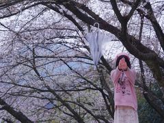 -杭州少年儿童公园