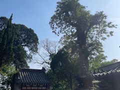 -青岛崂山太清宫