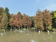 -海珠湖公园