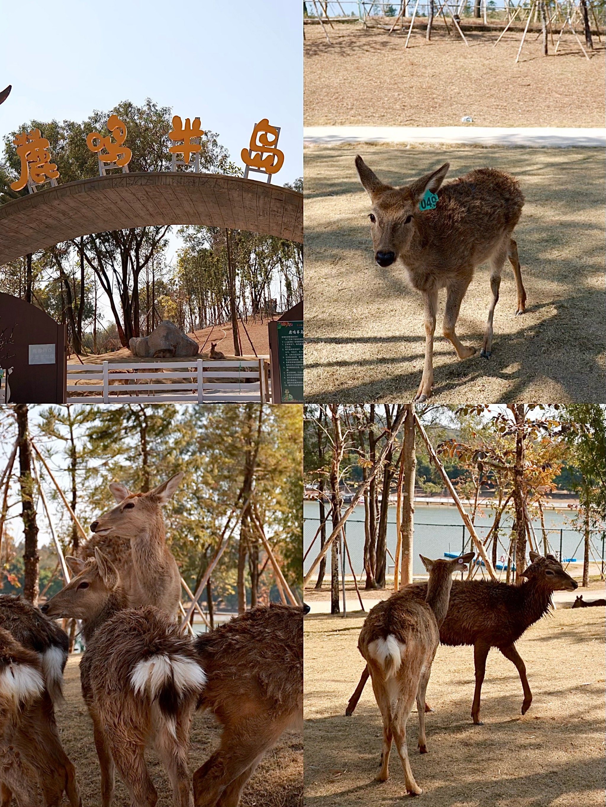 遛娃,家庭都‮合适‬的旅‮游游‬玩
🎨霓裳园
整个